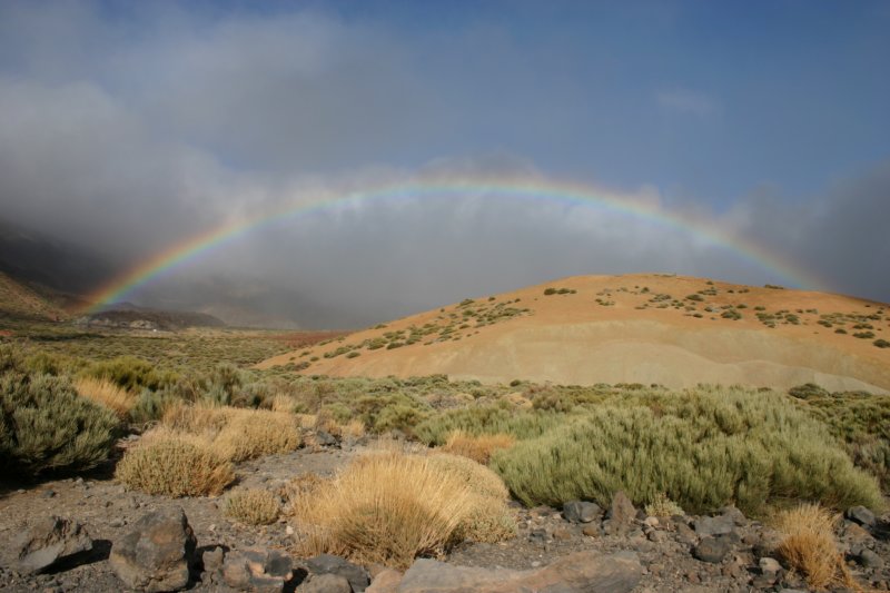 regenbogen.jpg